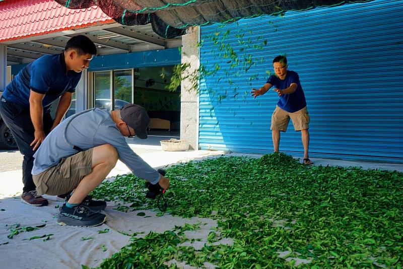 Bringing HL to the World: Naoki Miyashita Directs HL’s New Promotiona...