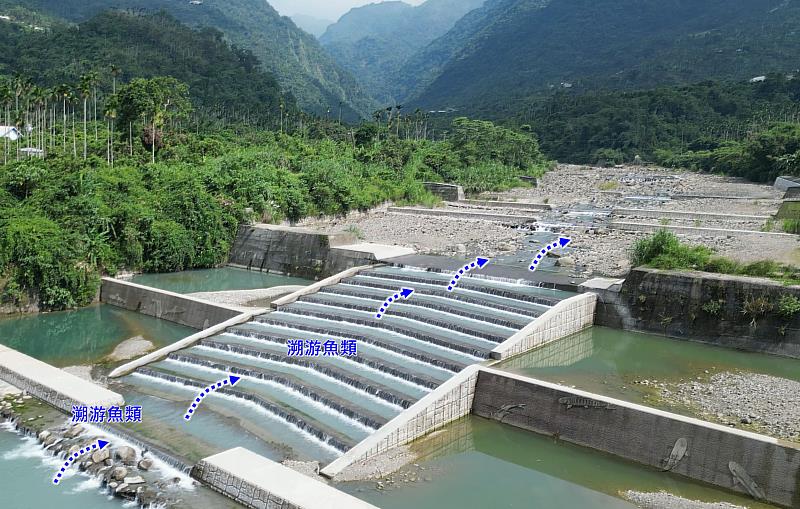 營造縱向廊道有利水中生物溯游。