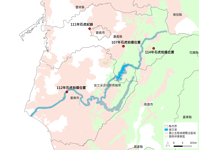 本次石虎發現紀錄位於曾文溪流域上游中海拔國有林地。嘉義分署112年7月曾於臺南曾文溪下游高灘地發現石虎,顯示嘉南國土生態綠網「曾文溪流域保育軸帶」串聯棲地的重要性。