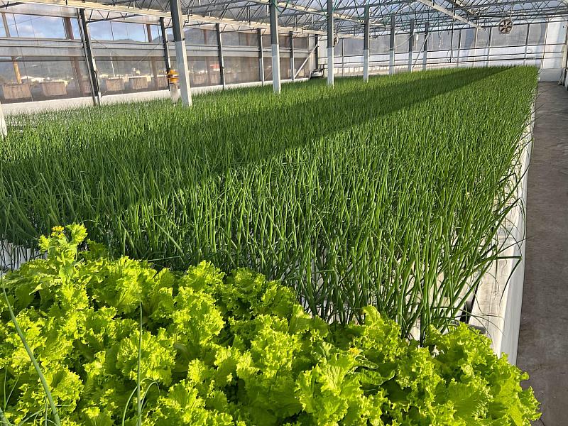 設施智能新世代，開發青蔥數位系統及AI監測智慧運用。