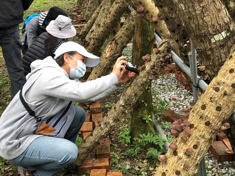 109年12月17日及18日， 萬榮站植菌。