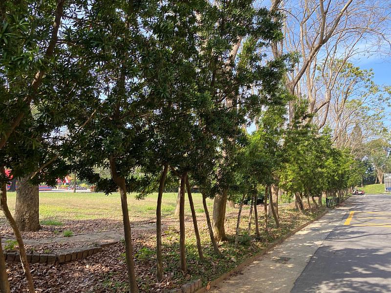 嘉縣優良空品淨化區評選 表藝中心與水利處分別奪下甲、乙組榜首