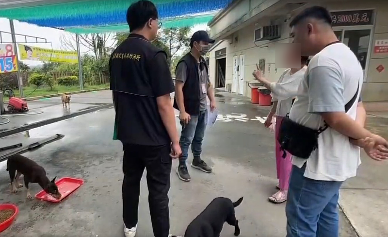 婦人長期餵養犬群致社區不安，嘉畜所開罰8萬6並提告妨礙公務。