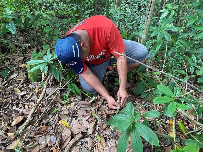 新美部落－獵人陷阱