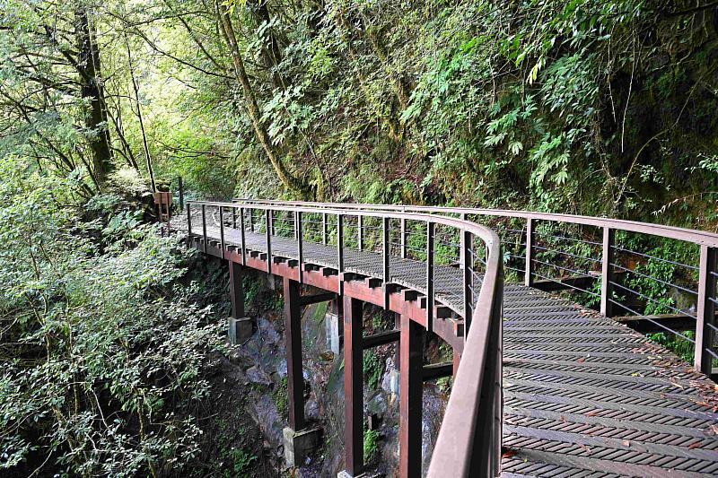 特富野古道設施改善工程將既有13座橋樑全面整修，融入自然景觀且兼顧遊客安全。（圖為5號橋－弧形高架橋）