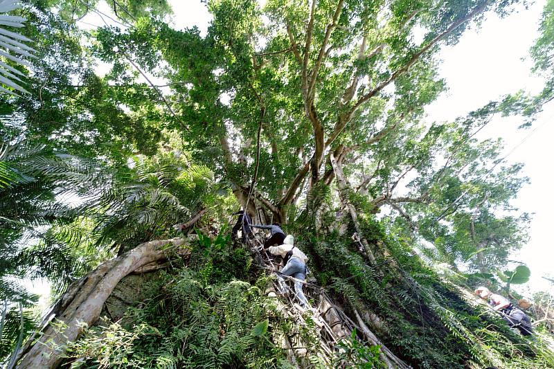 臺東《自然醒慢活祭》森林之旅感動落幕。