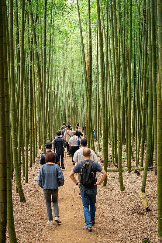 參訪雲林草嶺石壁森林療癒園區，進行森林療癒。