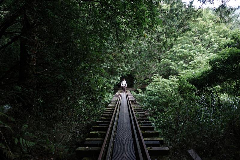 穿越雲端秘境 挑戰自我極限－救國團「阿溪縱走森林秘境野營隊」經典重現