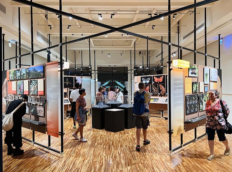 特展展架採用可重複拆卸、再利用的模組化結構,營造兼具質感與永續理念的展場氛圍。
