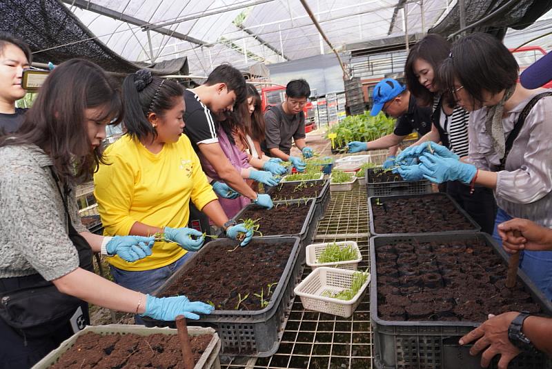 國際志工蹲點交流。