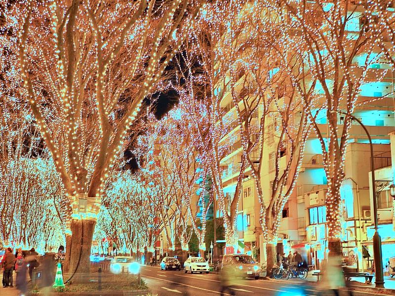 1986（昭和61）年，抱持著「想點亮仙台的冬天」、「將杜之都變成光之都」的想法而誕生的「SENDAI光之樂章」，今年迎來了第40屆。