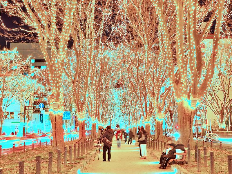 這場光影的盛宴，早已超越了單純的節日裝飾，它承載著前人的智慧、熱情與堅韌。