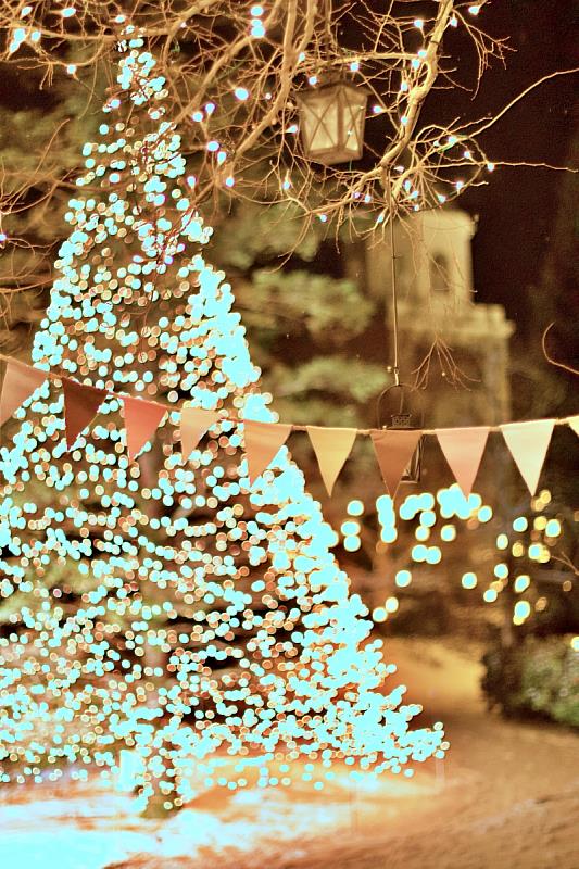 「仙台聖誕市集2025」會場內將設置東北最大規模、高約5公尺的聖誕樹，營造感受聖誕魔法的空間。夜晚時分，照亮周圍的美麗聖誕樹，將為整個城市帶來溫暖。