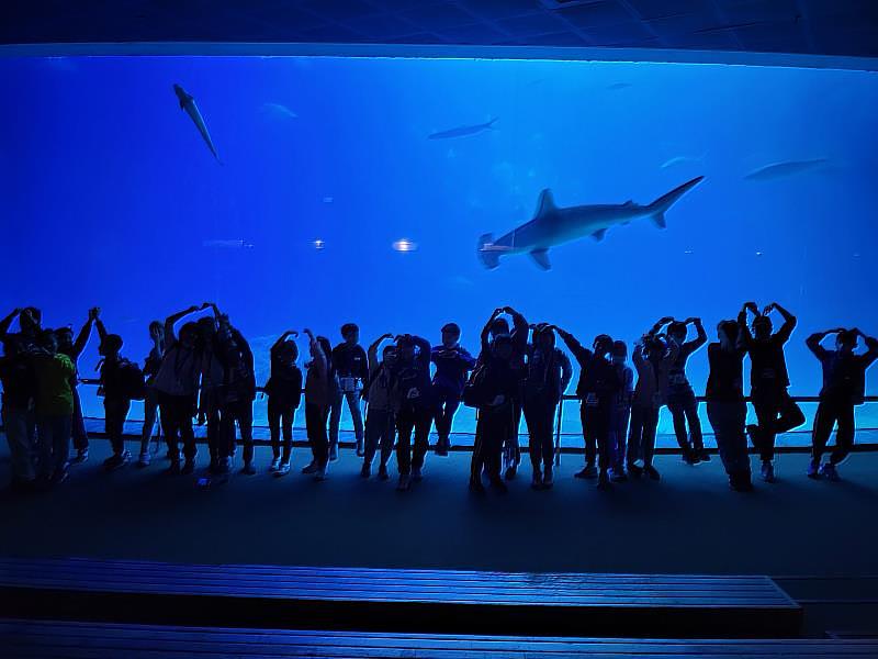 2026歡樂冬令「與魚共舞－夜宿海生館」精彩活動等您來挑戰！