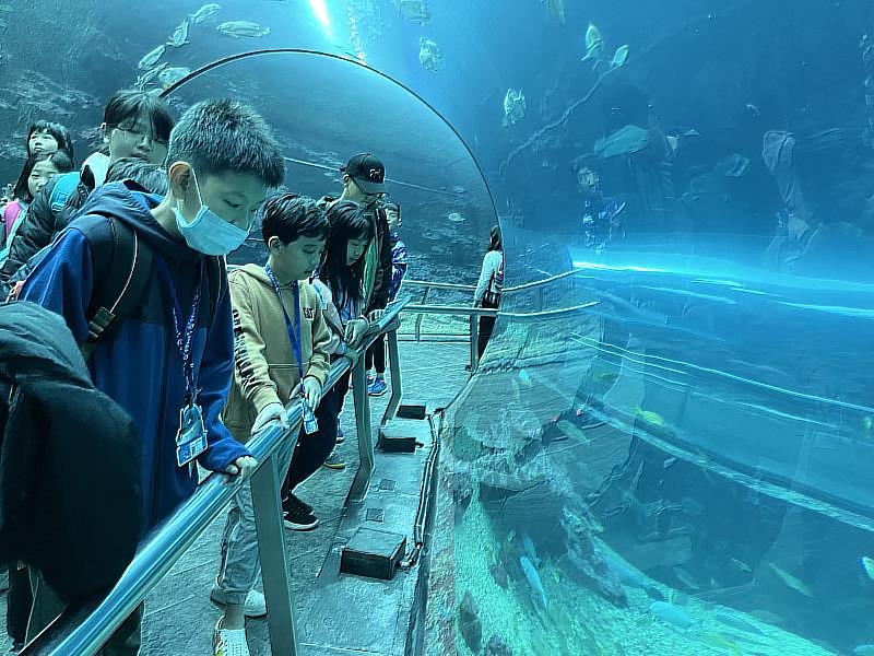 2026歡樂冬令「與魚共舞－夜宿海生館」精彩活動等您來挑戰！