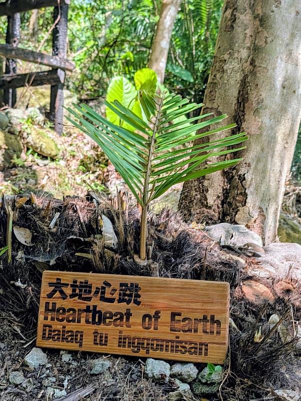 Hualien County Fosters an International-Friendly Environment.