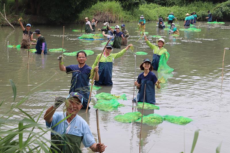 林業保育署嘉義分署今年5月邀集志工於嘉義縣水上鄉九芎埤種植浮葉植物復育水雉棲地。