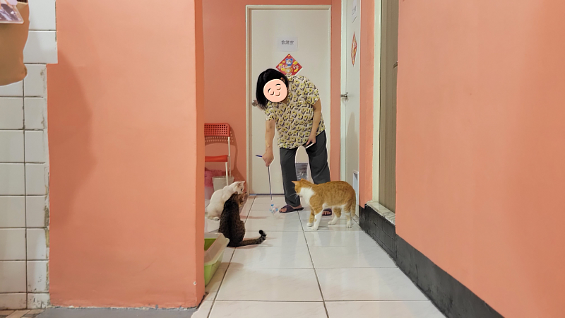 潭馨園鳳姐愛貓寮工作-1