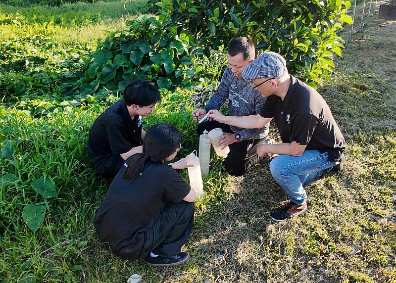 應化系師生團隊赴馬來西亞柳緒州有機農場，導入甘薯蟻象費洛蒙防治技術，打造USR跨境共學實踐平台。
