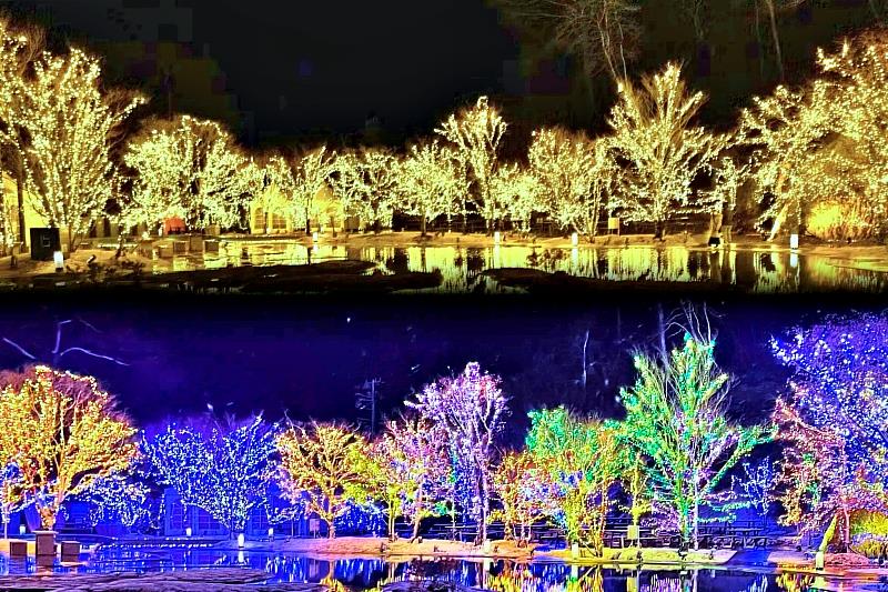 期間限定內，宮城縣松島離宮將被16萬顆七色燈飾包圍，化身為夢幻般的光之世界。