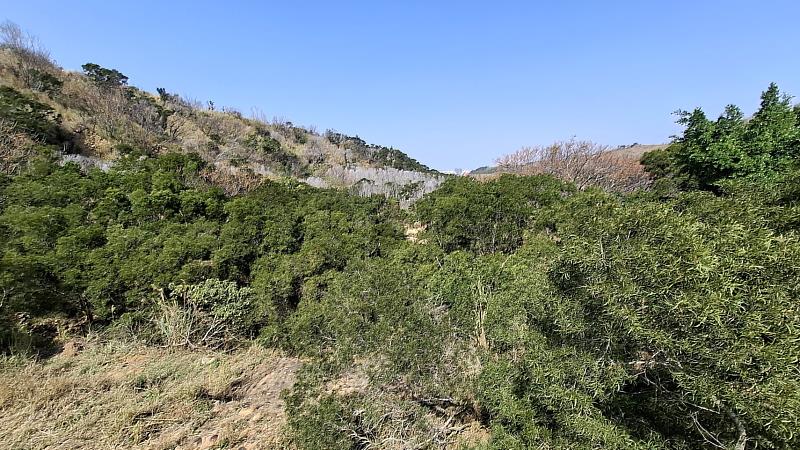 114年植生茂密林相良好。