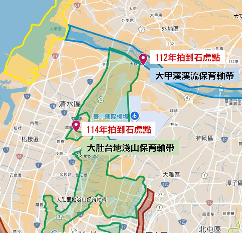 石虎族群在大肚山南北棲地連接展現曙光。