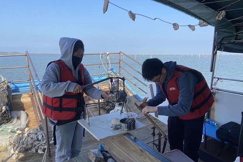 南大學生體驗蚵殼打洞，瞭解蚵的養殖過程。