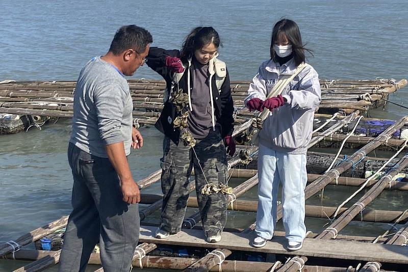 南大同學近距離觀察蚵串，並體驗如何採收。