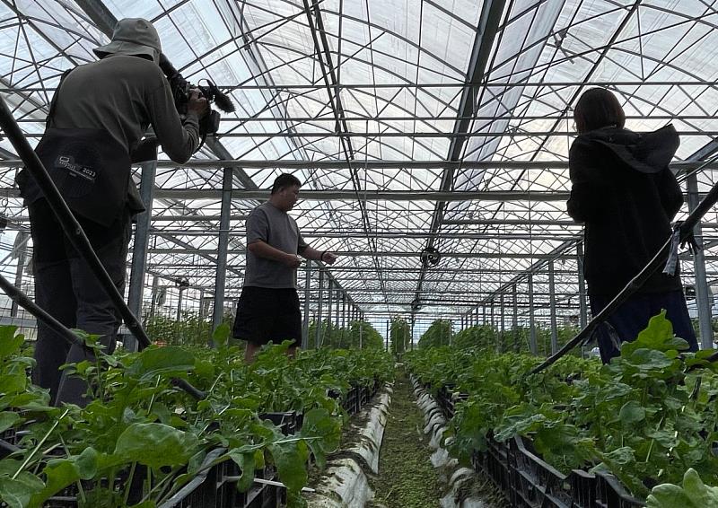 於壽豐鄉不彎腰農場進行批次試驗種植。（有限責任花蓮縣綠電學習社區合作社提供）