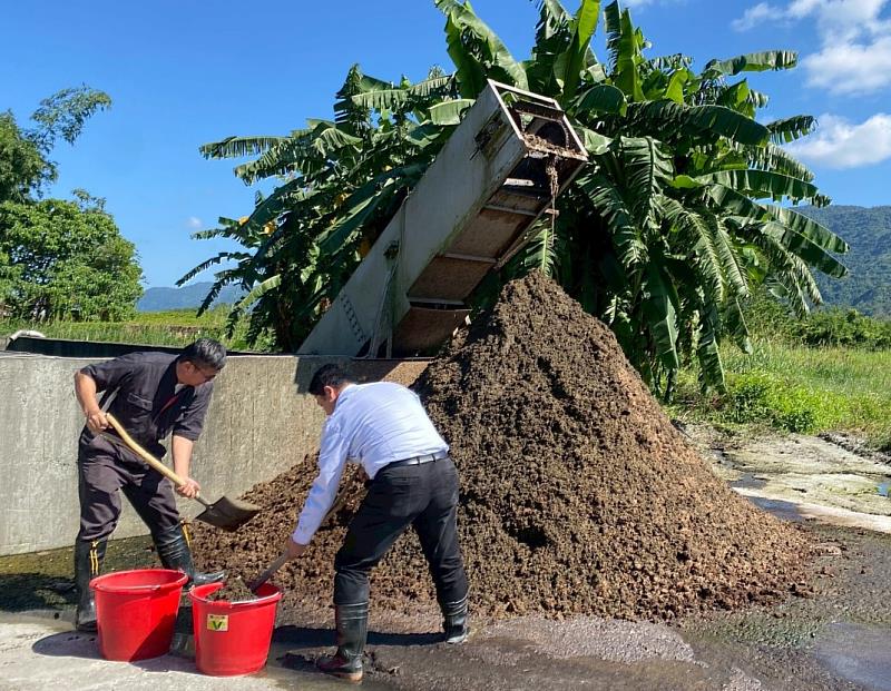 經固液分離後的牛糞有機體採集過程。（有限責任花蓮縣綠電學習社區合作社提供）