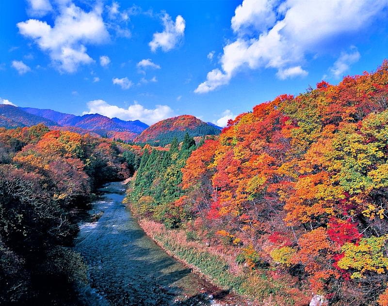 奧新川溪谷的紅葉景色迷人。