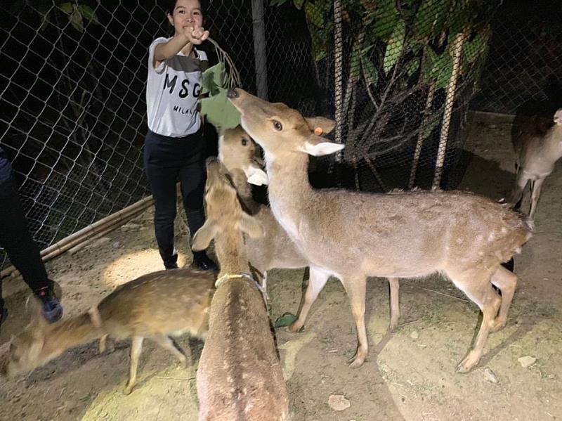 運動×生態×團隊合作 打造最強小運動員「全明星運動會2.0版」熱力展開