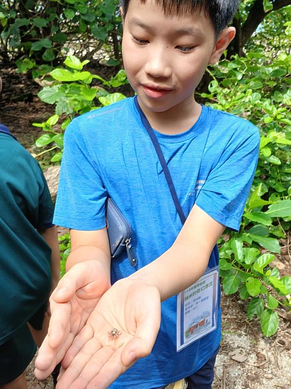 運動×生態×團隊合作 打造最強小運動員「全明星運動會2.0版」熱力展開