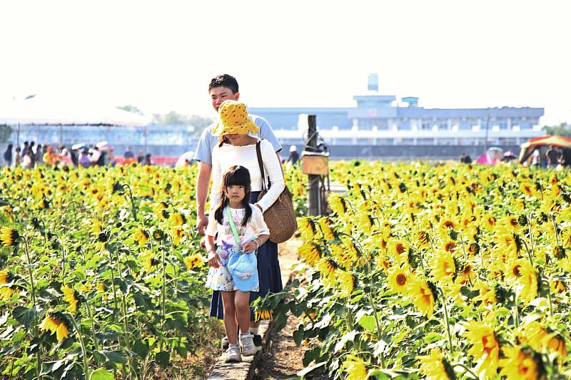 0_2025花海生活節結合花海景觀與市集 (1)