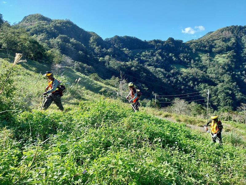 造林與維護工作由當地原住民工班負責,他們熟悉地形與氣候,讓整地與植樹更貼近土地的節奏,這樣的合作也創造了地方就業機會,讓青年能夠返鄉參與。