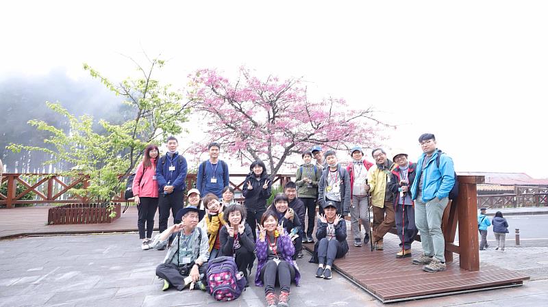 冬末春初正值阿里山國家森林遊樂區白木蘭、霧社山櫻花等花卉陸續開放。