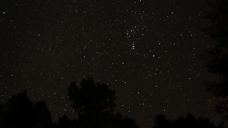 林業保育署嘉義分署與嘉義市天文協會合作，於115年1-3月舉辦「星動阿里山」天文生態營，邀請民眾來體驗冬末春初的阿里山美景。