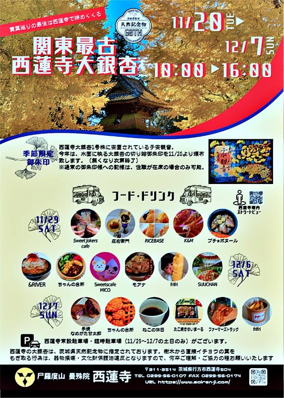 縣内外活躍的廚房車大集合,有很多地方美食可品嚐!