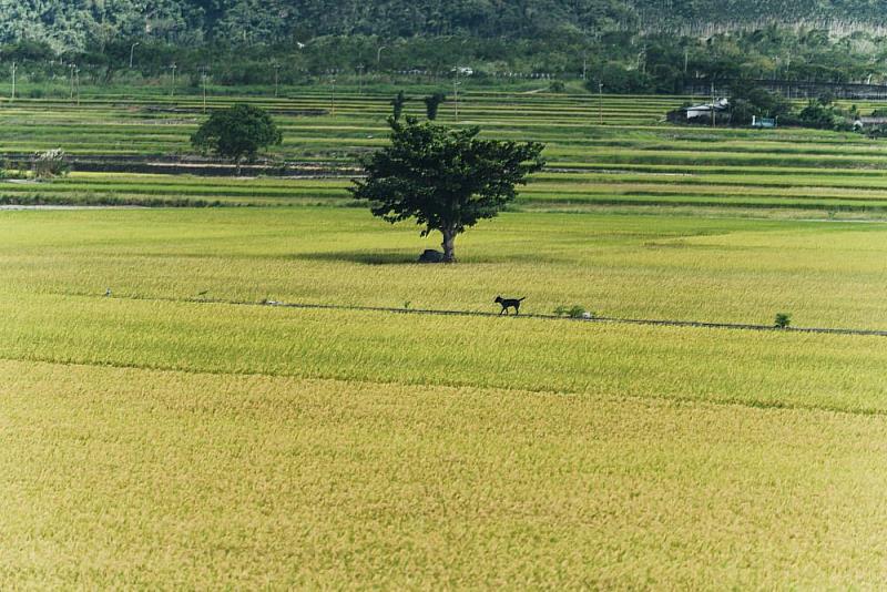 Designing a Life from the Ground Up: Rediscovering Home Through a Two-Month Stay