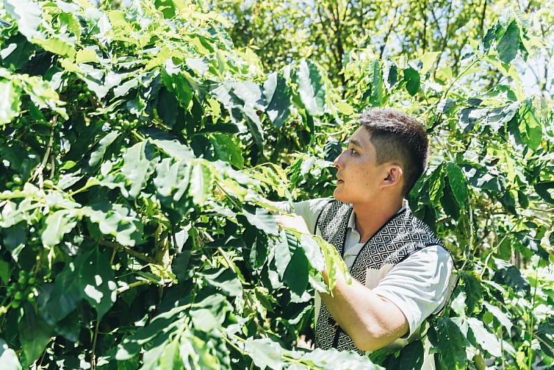 The “We Bloom!” project, launched by the Hualien County Government.