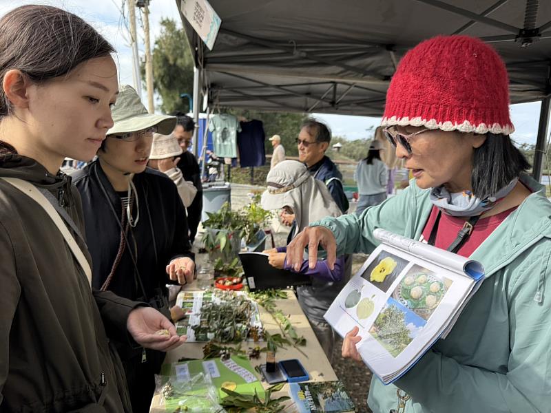 市民參加海濱植物認識活動