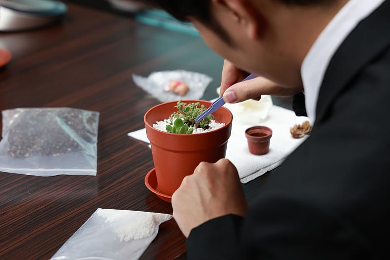 研習會參與者親手打造多肉植物組盆。 