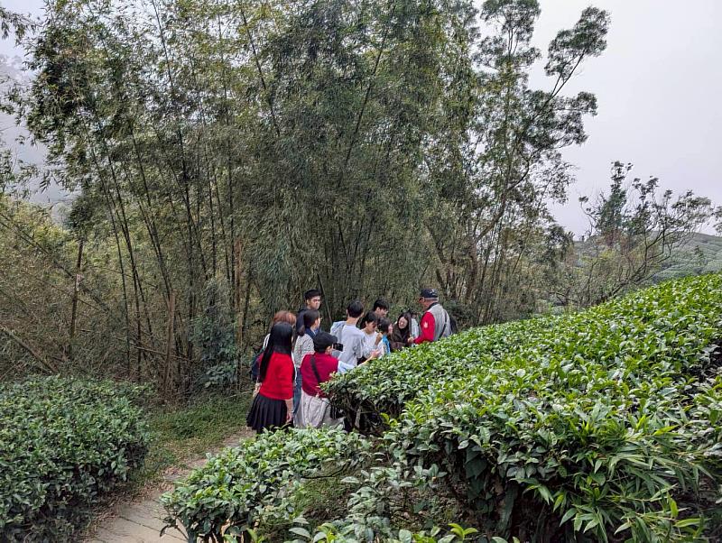 嘉義縣第6屆兒少諮詢代表成果發表會圓滿落幕