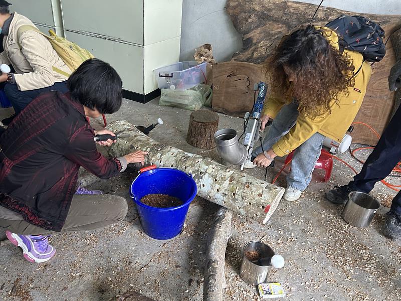 民眾體驗植菌。