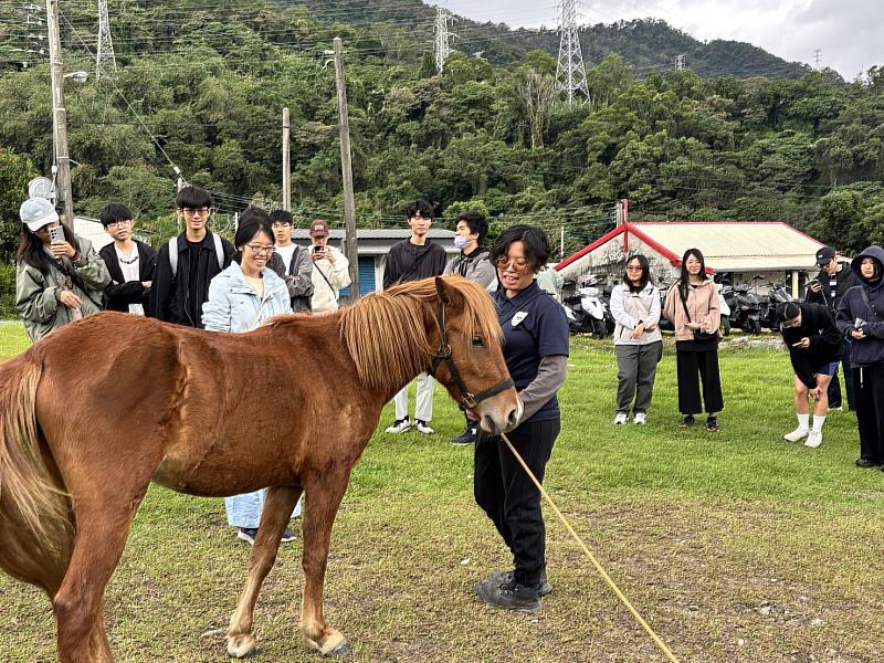 師生協助馬匹輔助教育中心辦理「冬日暖陽融合運動會」從認識馬匹開始。
