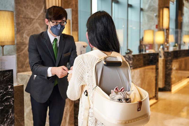 六福萬怡攜手眠豆腐升級寵物房 貓咪入住體驗5990元寵物床