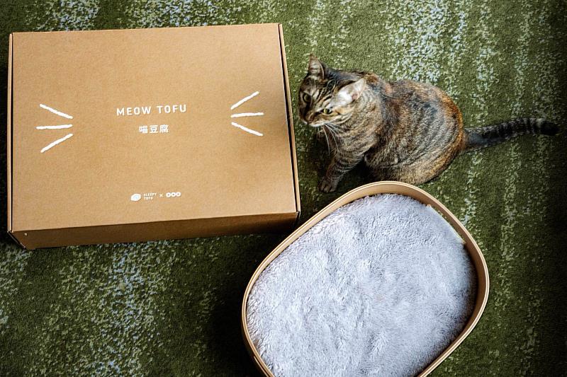 貓咪主題房全新升級導入「喵豆腐寵物床」，透過柔軟包覆的記憶棉材質，提供旅途中安穩放鬆的睡眠體驗。(圖／六福旅遊集團提供)