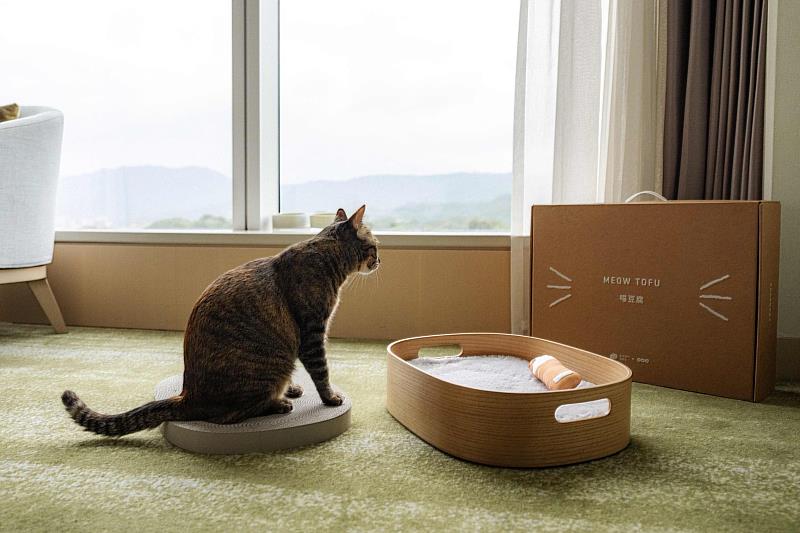 房內同步提供「喵豆腐專屬貓抓板」，以安全耐用材質打造，讓貓咪在入住期間也能享受日常抓抓樂，滿足天性、舒緩情緒。(圖／六福旅遊集團提供)