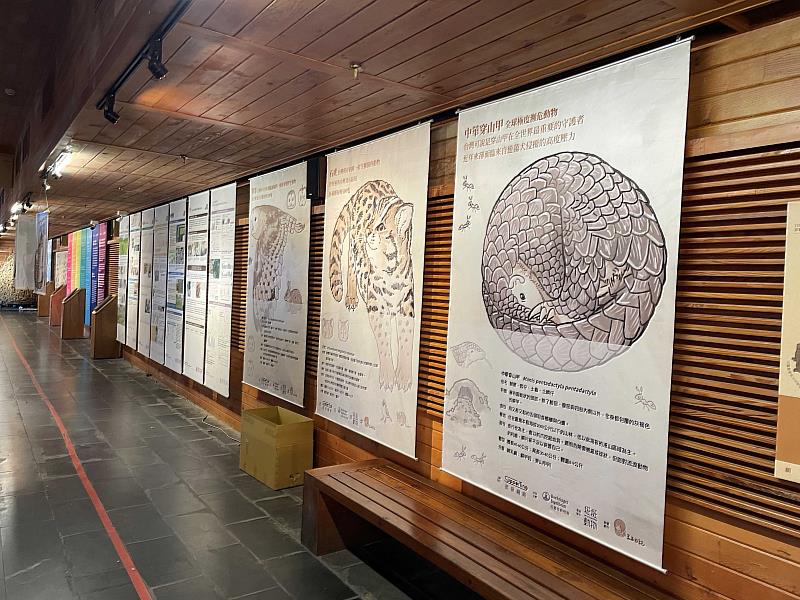 「適得其所 以動保挺野保巡迴展」活動在阿里山車站1樓展出至115年3月1日,以掛軸呈現犬貓馴化歷史與現況,以及野生動物受遊蕩犬貓所面臨的生存壓力