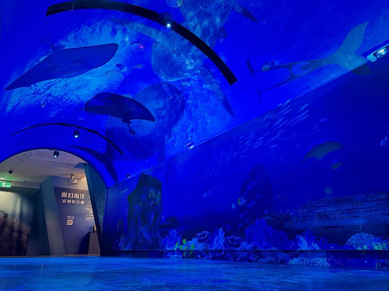 長達15米的「沉浸式海底隧道」運用無接縫投影技術重現沉船遺址魚群動態。